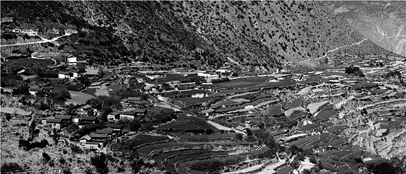 du doan bach thu lo
