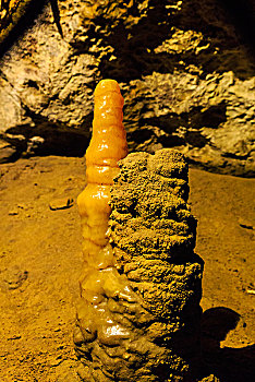 quả xổ số