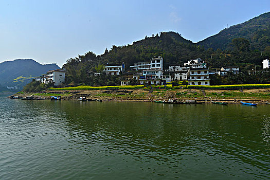 bach thu lo kep mb