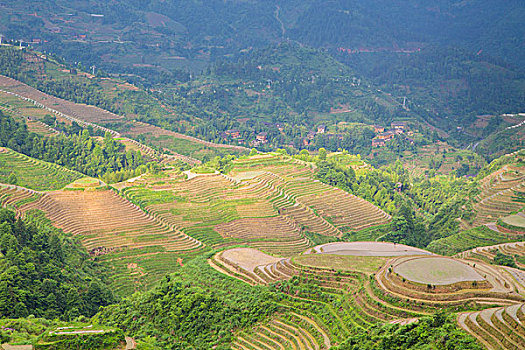 cách ăn lô đề
