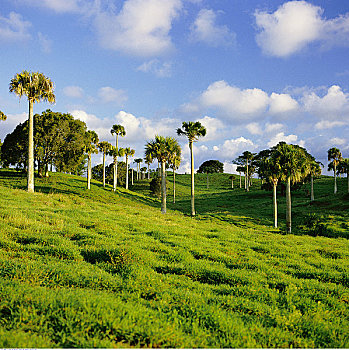 xổ số kiên giang