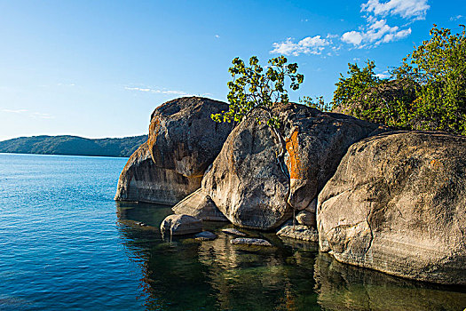 soi cầu bạch thủ 247