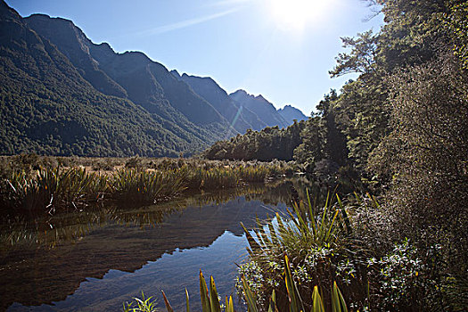 soi cau hau giang