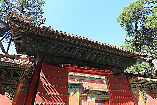 xstninh