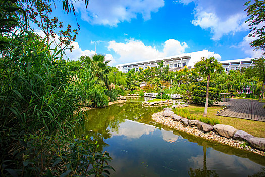 xs hà nội