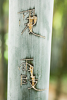 xsmb t7