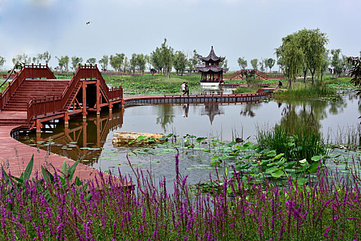 xs bac ninh