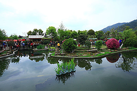 nghiên cứu cách đánh lô đề