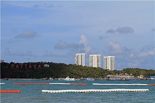 cau 2888