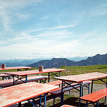 rong bach kim hai nhay