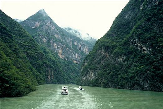 bạch thủ đề miền bắc