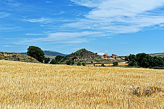 lo đe 88