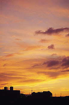 xs da lat