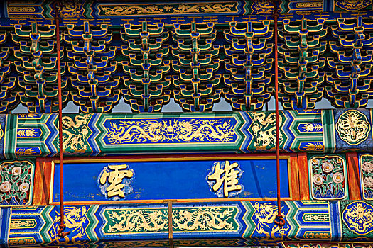 soi cau lo bach thu rong bach kim
