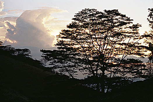 du doan xo so dong nai