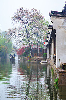 soi cầu miền bắc 247