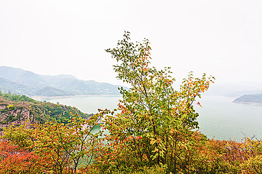 soi cầu chuẩn 14