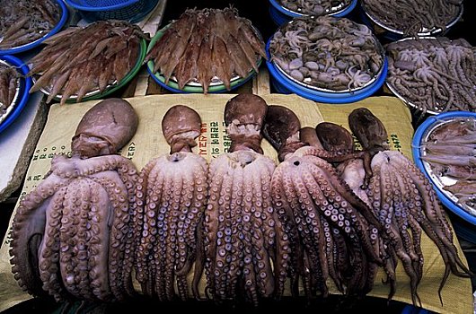 bạch thủ lô kép hôm nay