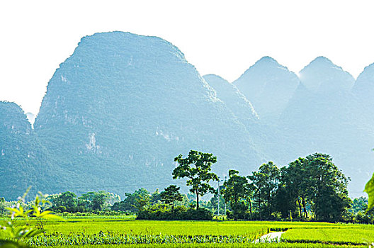 xổ số an giang hôm nay