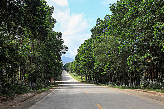 xổ số bình