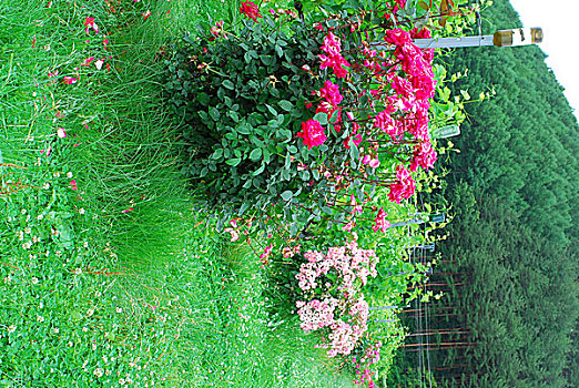 soi cầu 8888