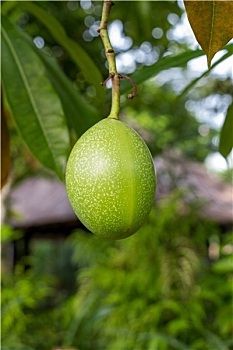 cách chơi lô đề có lãi