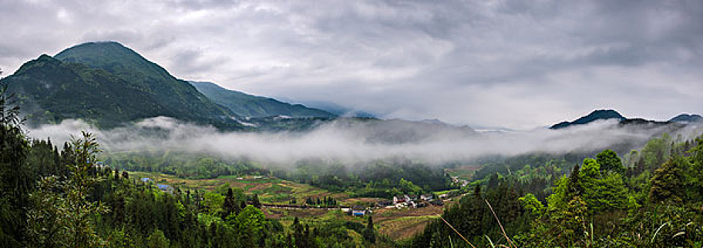 cầu lô