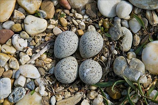 kết quả xổ số miền nam thứ tư