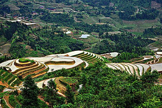 trực tiếp miền bắc hôm nay