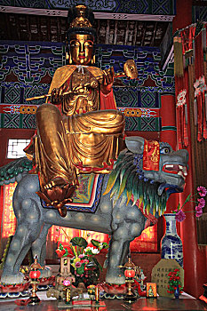 bạch kim lô đề