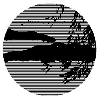 xsmn 3