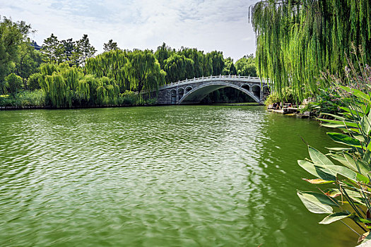 soi cau lo chuan hom nay