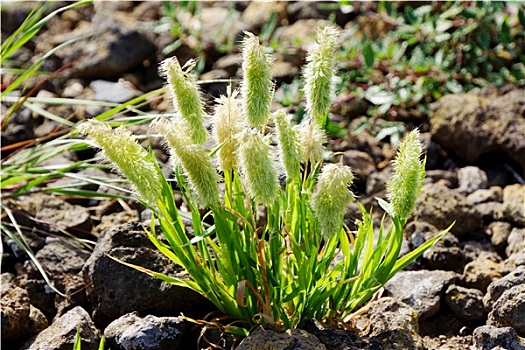 dự đoán xổ số quảng trị