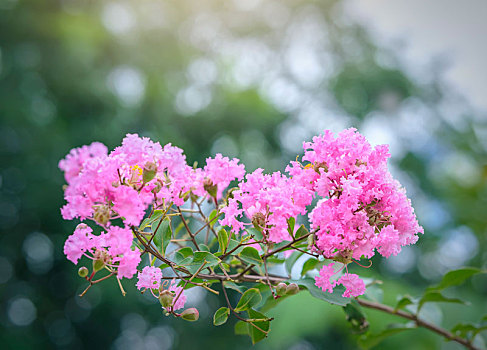 du doan xo so mien nam trung thuong