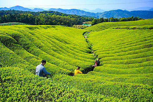 game nông trại đánh bài