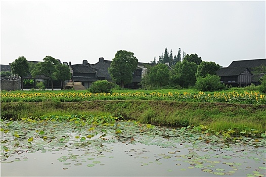 xổ so mien bac