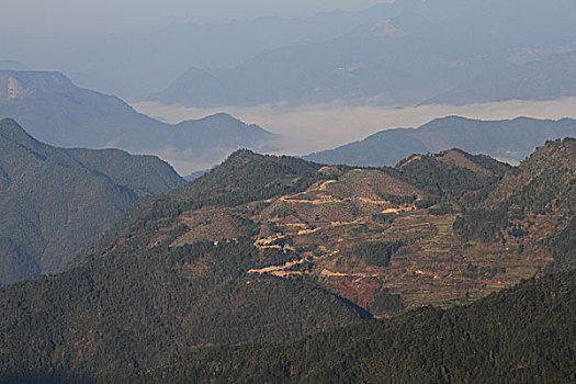 soi cau bach thu lo de