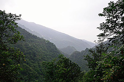 soi cau thong ke