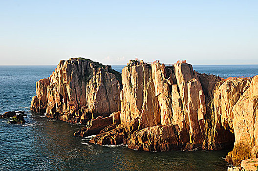 soi lo rong bach kim