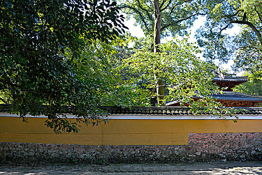 bạch thủ xsmb