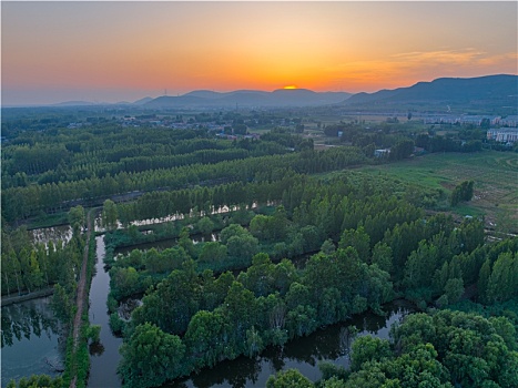 ban ca than tai doi thuong
