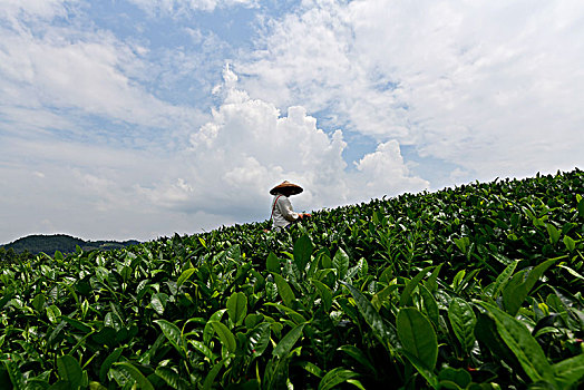 lô đề online