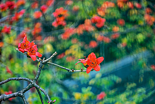 xsmb thu 3 hang tuan minh ngoc