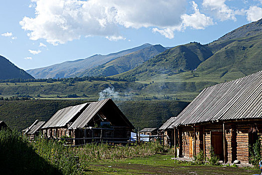 rong bach kim 247