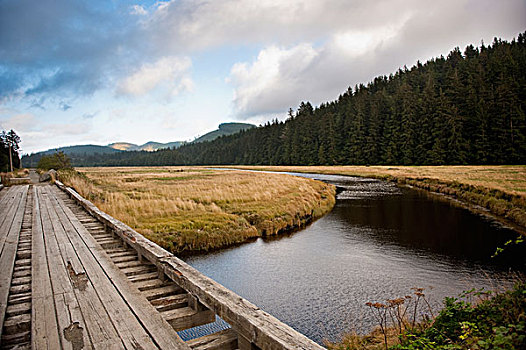 cau bach thu kep
