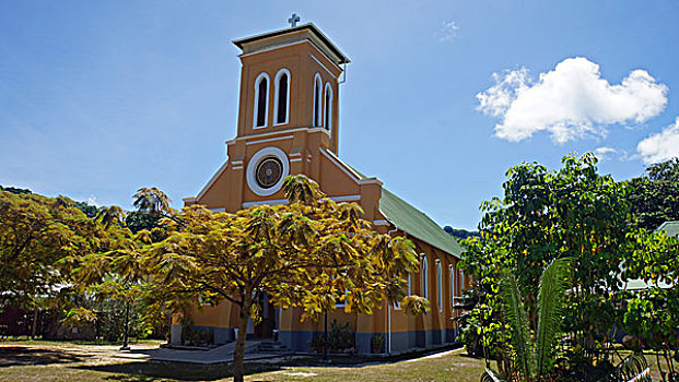 soi cau bach thu khung 5 ngay