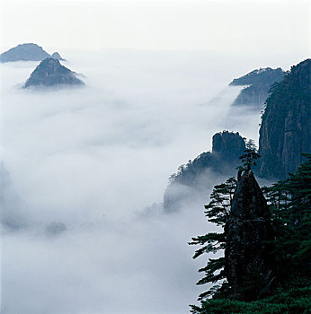 lô gan miền bắc