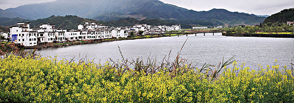 soi cầu dự đoán