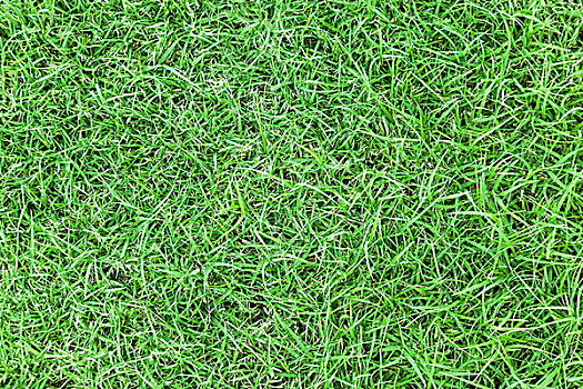 dự đoán xổ số 24 giờ