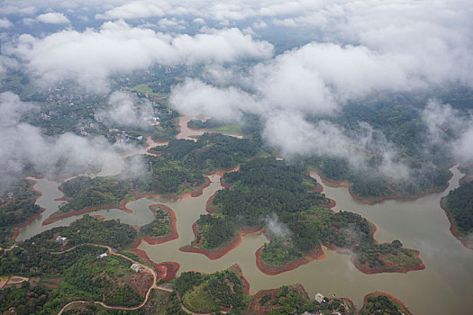 đá gà lông cựa dao